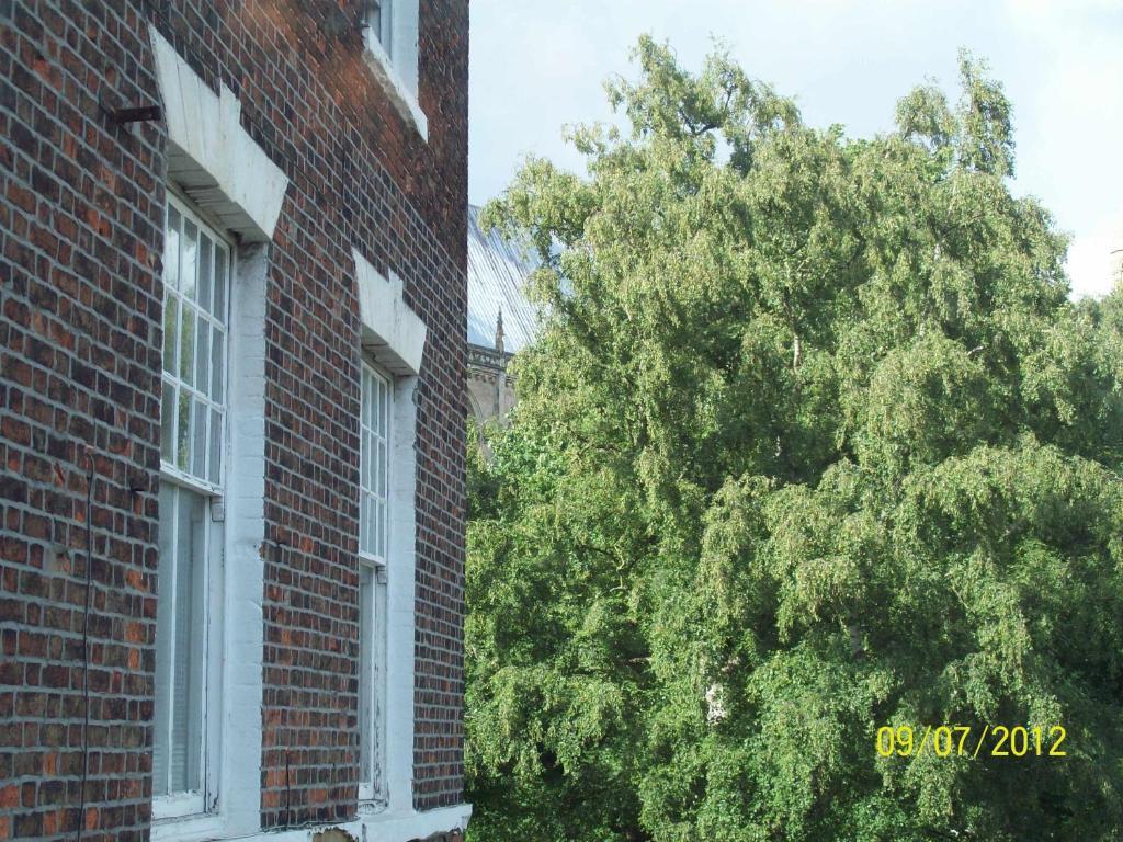Minster Garth Guest House Беверлі Номер фото